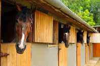 free Pachesham Park stable construction quotes